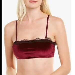 Jason Wu Burgundy Velvet bralette XL NWT Renaissance removable straps goth